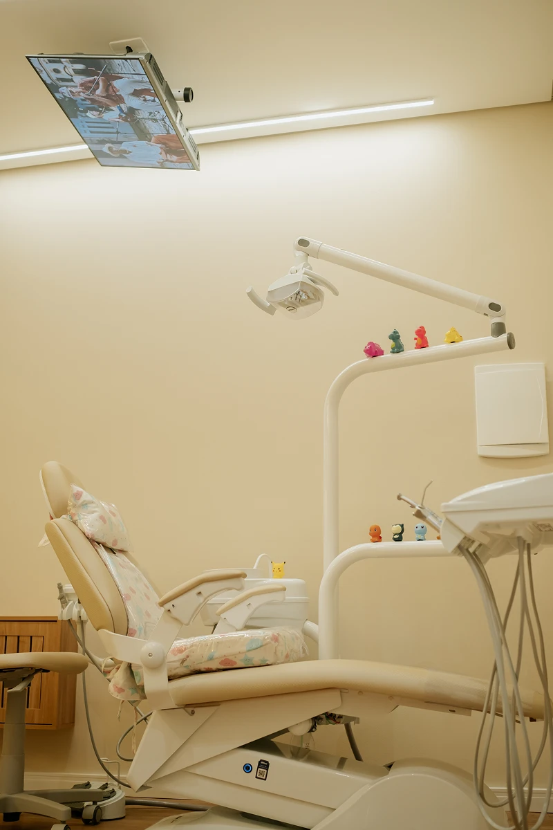dra-isadora-gris-odontopediatra-em-sao-jose- (6)